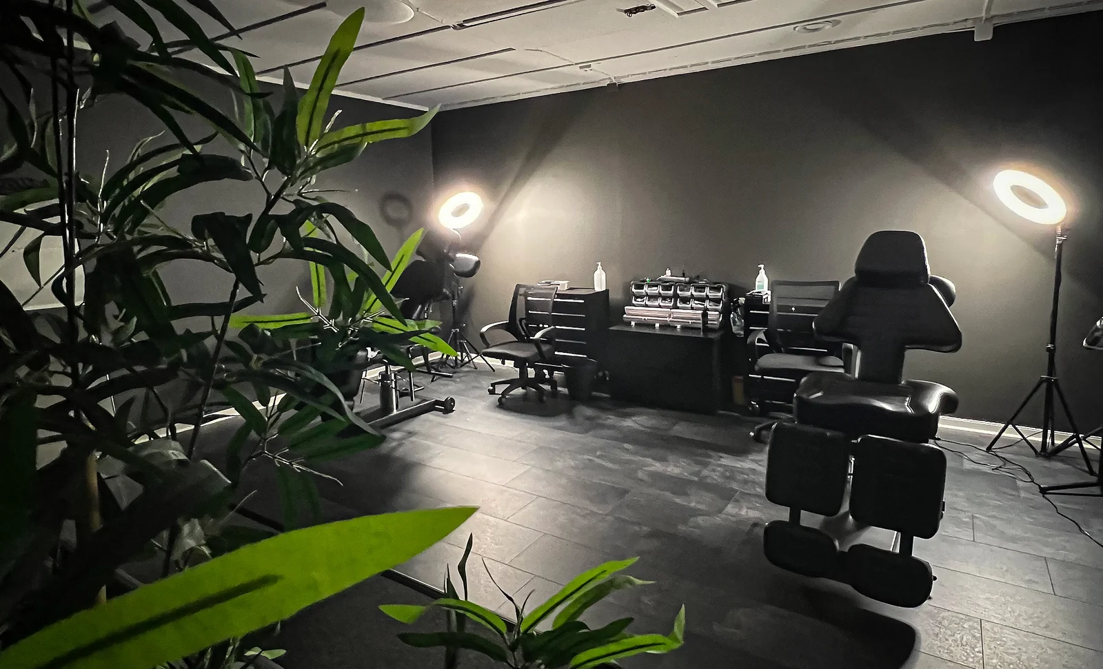 Studioet i Hallsgate 5 med arbeidsstasjoner og grønne planter